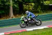 cadwell-no-limits-trackday;cadwell-park;cadwell-park-photographs;cadwell-trackday-photographs;enduro-digital-images;event-digital-images;eventdigitalimages;no-limits-trackdays;peter-wileman-photography;racing-digital-images;trackday-digital-images;trackday-photos